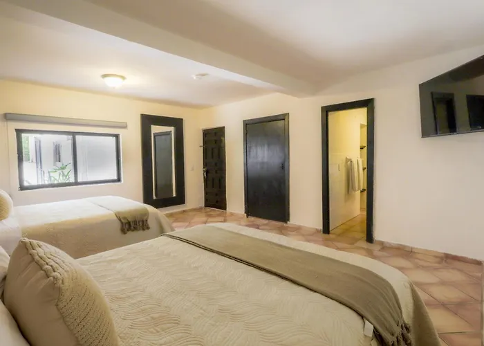 Terranova Hotel 3*