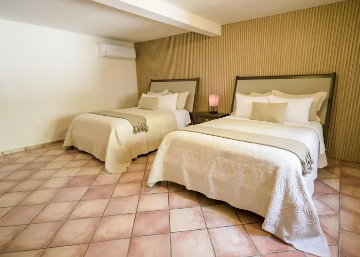 Terranova Hotel San Jose del Cabo
