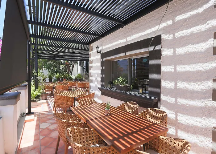Hotel Terranova San Jose del Cabo