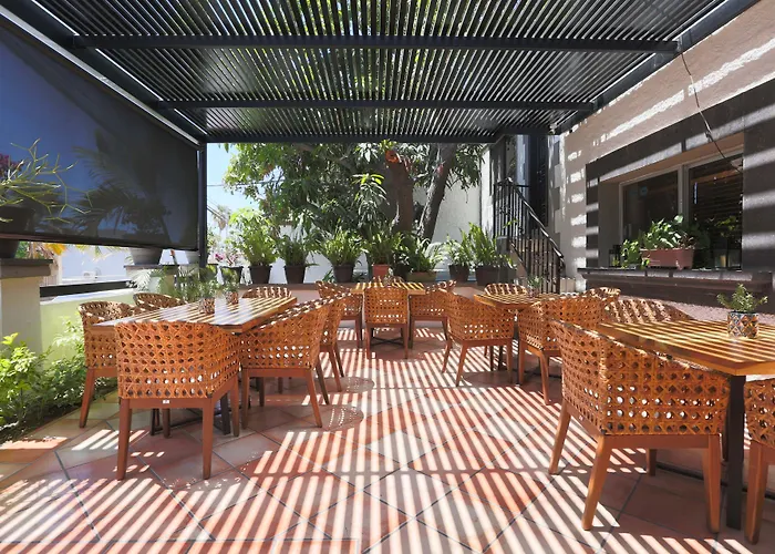 Hotel Terranova 3*