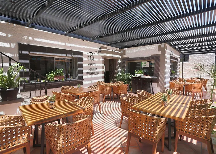 Hotel Terranova San Jose del Cabo