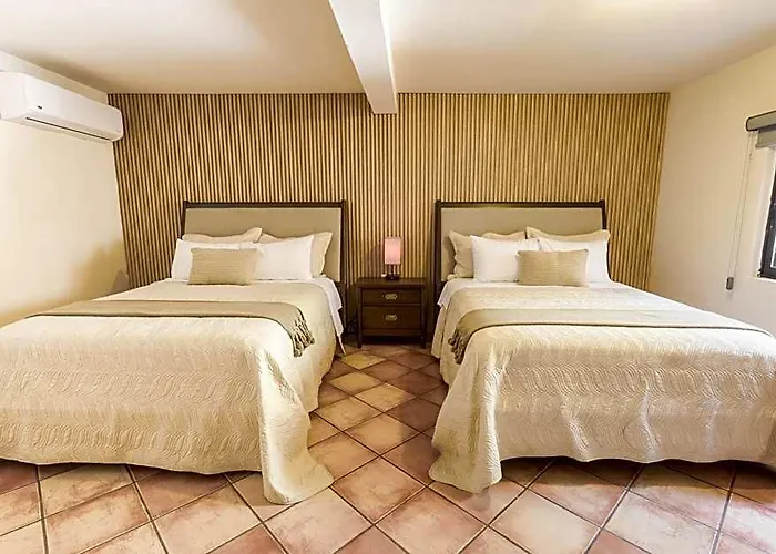 Hotel Terranova 3*
