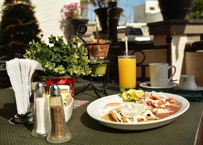 Hotel Terranova San Jose del Cabo