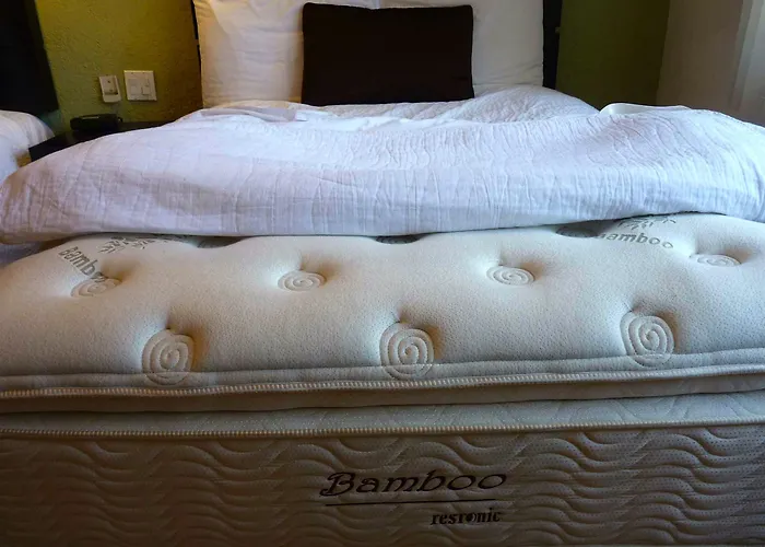 Terranova Hotel 3*