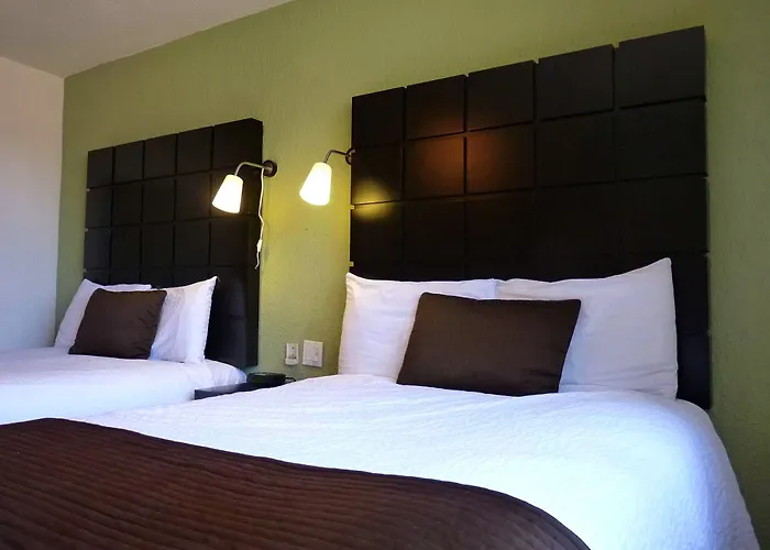 Terranova Hotel