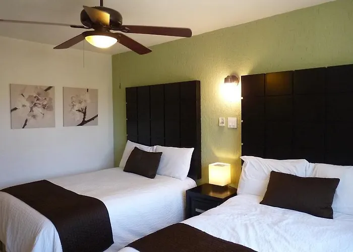 Hotel Terranova 3*